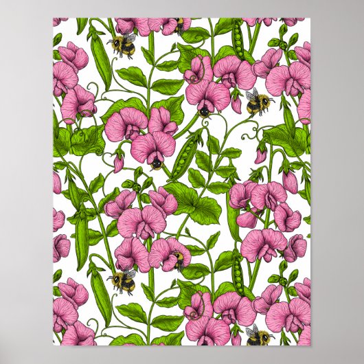 Zoete erwten en hommels, roze, groen en wit poster (Voorkant)