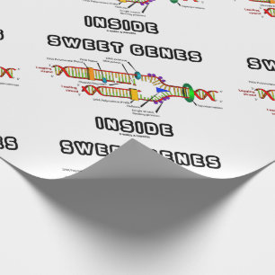 Zoete genen in DNA Replication Humor Cadeaupapier