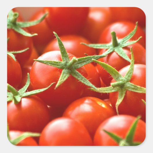 Zoete gepickte Cherry Tomaten Vierkante Sticker (Voorkant)