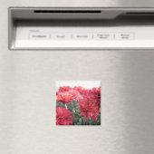 Zoete heldere chrysanten magneet (Insitu (Vaatwasser))