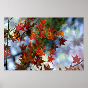 Zoete Herfst Poster