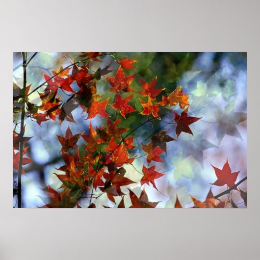 Zoete Herfst Poster (Voorkant)