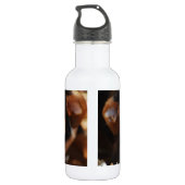 Zoete hond leggend in hooi waterfles (Achterkant)