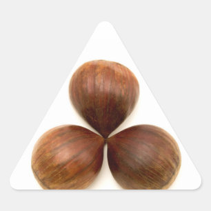 Zoete kastanjes vruchten driehoek sticker