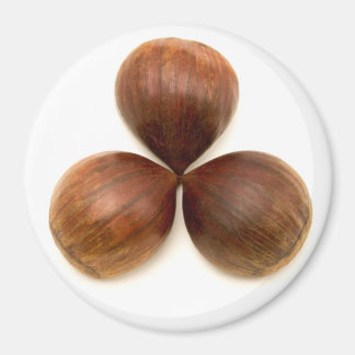 Zoete kastanjes vruchten magneet