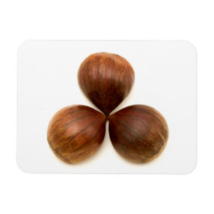 Zoete kastanjes vruchten magneet