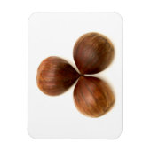 Zoete kastanjes vruchten magneet (Verticaal)