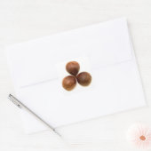 Zoete kastanjes vruchten vierkante sticker (Envelop)