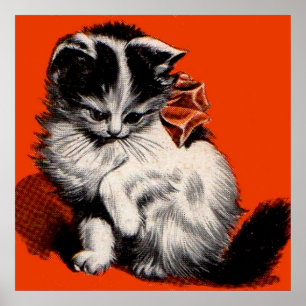 zoete kleine kitten poster