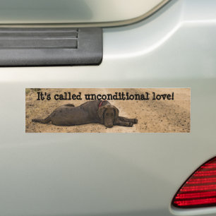 Zoete Labrador op een BosSleep Bumpersticker