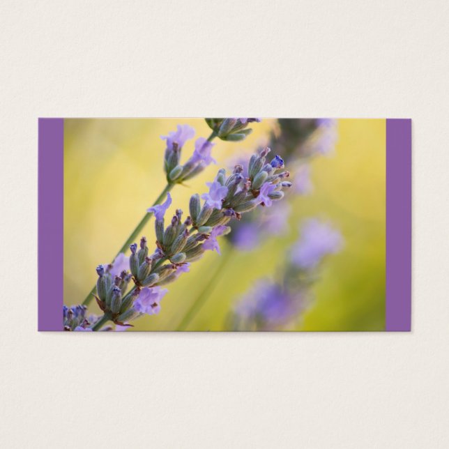 Zoete lavendel visitekaartjes (Voorkant)