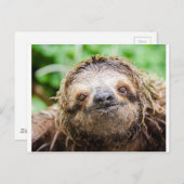 Zoete Luiaard Briefkaart (Voorkant / Achterkant)