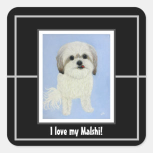 Zoete Malshi vierkante sticker