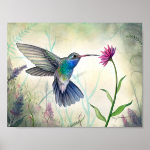 Zoete Nectar Kolibrie en Bloem Aquarel Poster