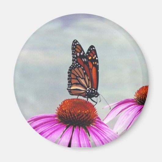 Zoete Nectar - magneet (Voorkant)