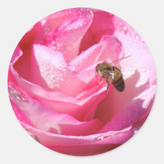 Zoete Nectar na een Lichte Regendouche, Bloembij Ronde Sticker (Voorkant)