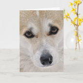 Zoete Pop Corgi Kaart (Gele Bloem)