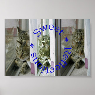 Zoete reflecties poster