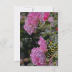 Zoete roze rozen notitiekaartje