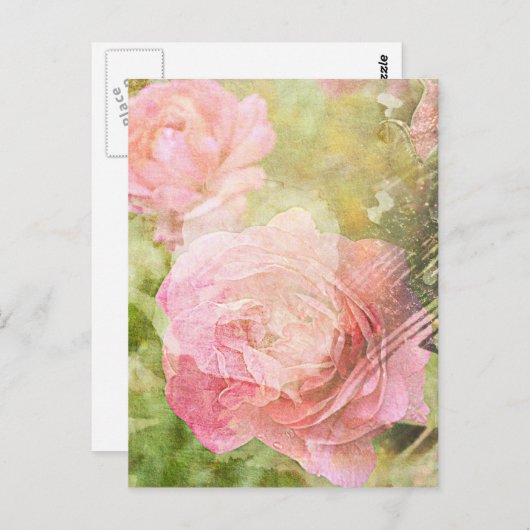 Zoete Rozen Briefkaart (Voorkant / Achterkant)