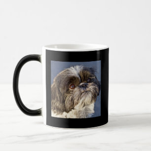 Zoete Shih Tzu Puppy Gedaanteverwisseling Drank Ko Magische Mok