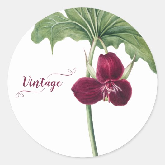Zoete Trillium Botanical Ronde Sticker (Voorkant)