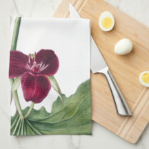 Zoete Trillium Botanical