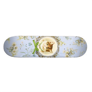 Zoete vintage kat portret skateboard