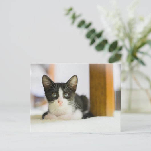 Zoete witte en zwarte keuken briefkaart (Staand voorkant)