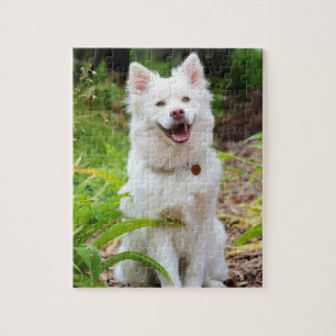 Zoete Witte Lapp Hund Hond Groene Achtergrond Foto Legpuzzel