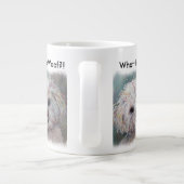 ZOETE WITTE MALTEZER YORKIE MIX EXTRA GROTE MOK (Achterkant)