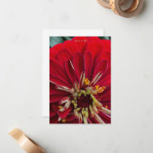 Zoete Zinnia Notitiekaartje (Voorkant / Achterkant in situ)