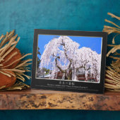 Zoetkersboom ("Nara Ichiban-Zakura") Fotoplaat (Zijkant)