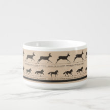 Zoetrope antiek animatie