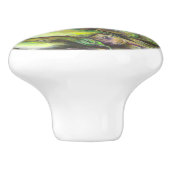 Zoetvlees Keramische Knop (Zijkant)