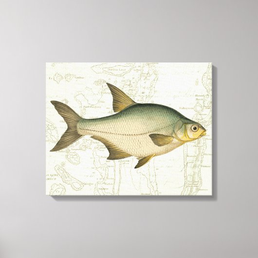 Zoetwatervis op kaart canvas afdruk (Voorkant)