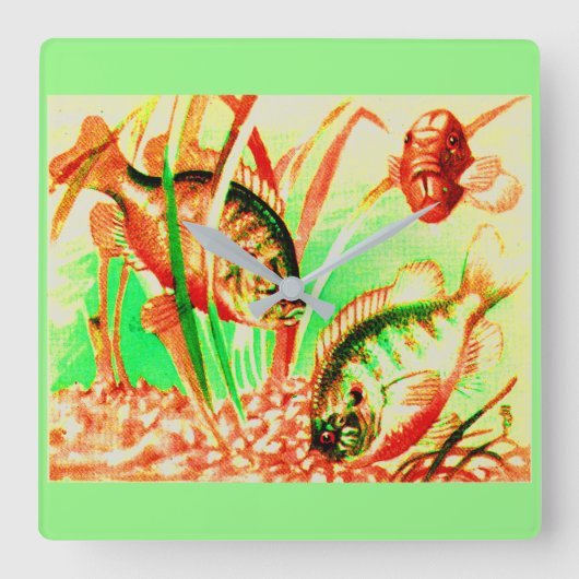 zoetwaterzonnevis vierkante klok (Voorkant)