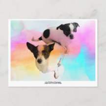 Zoey & Gracie Disco Blanco Ansichtkaart!