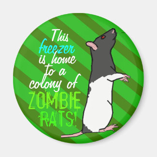 Zombie rat ronde magneet (zwarte capuchon rat)
