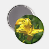 Zomdag Magneet (Voorkant / Achterkant)