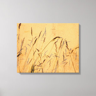 Zomentgrassen en Poster van de schaduwen Canvas Afdruk