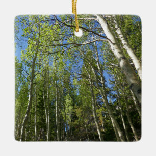 Zomer Berkebomen bij Rocky Mountain Keramisch Ornament