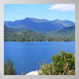 Zomer bij het meer..... poster