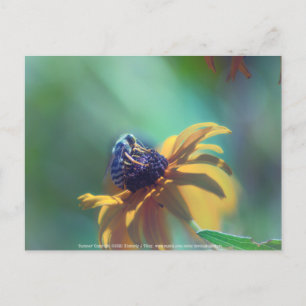 Zomer Briefkaart