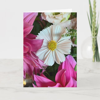 Zomer Cosmos Lege Notitiekaart