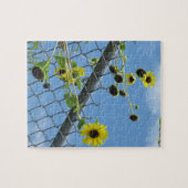 Zomer Daisy Legpuzzel (Horizontaal)
