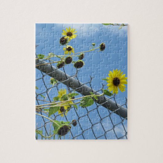 Zomer Daisy Legpuzzel (Verticaal)