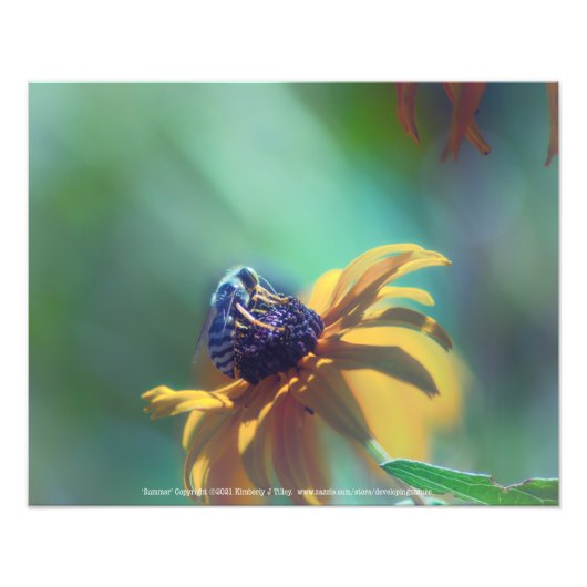 zomer foto afdruk (Voorkant)