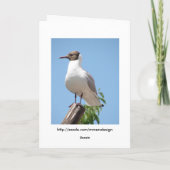 Zomer Groeten Vogel Kaart (Achterkant)