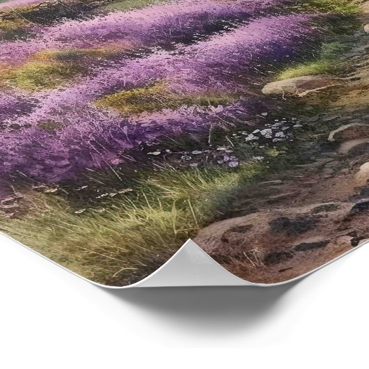 Zomer Heather Moorland Field Landschap Poster (Hoek)